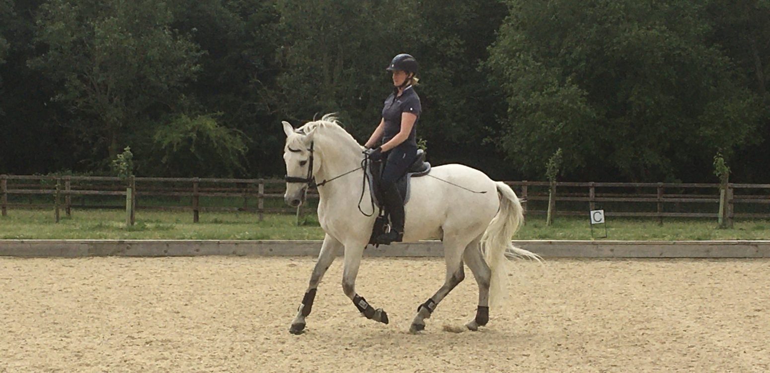 horse-riding-school-swindon-marlborough-hungerford-devizes